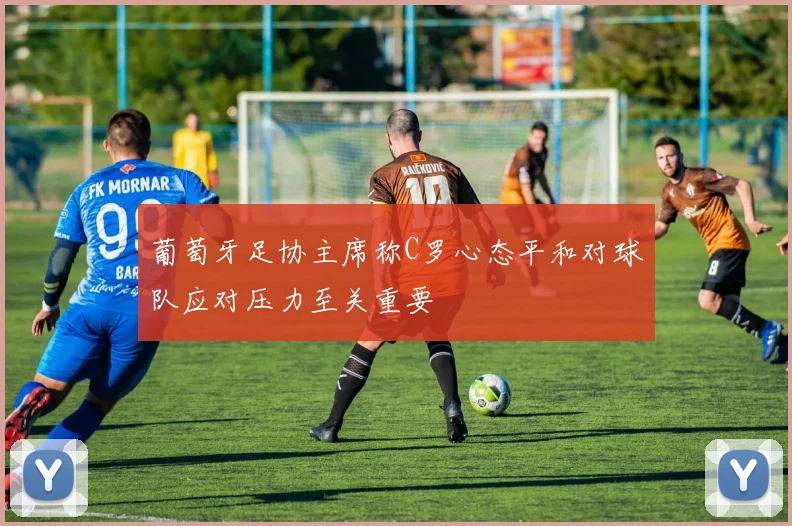 葡萄牙足协主席称C罗心态平和对球队应对压力至关重要