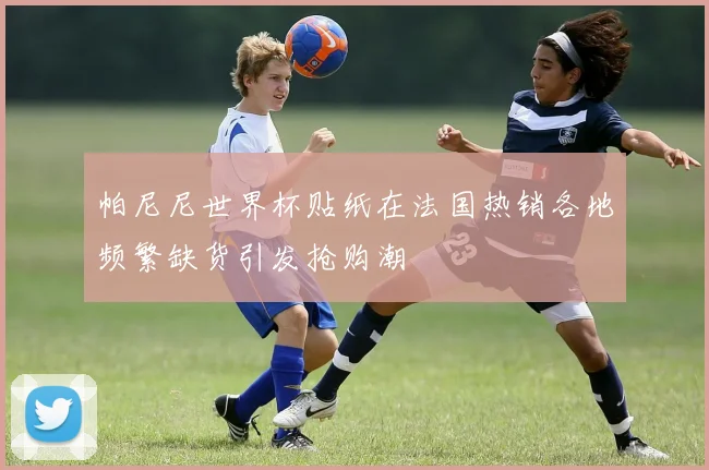 帕尼尼世界杯贴纸在法国热销各地频繁缺货引发抢购潮